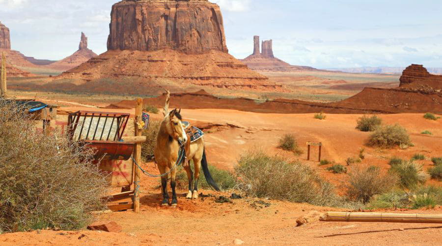 Vi erbjuder ett brett urval av biluthyrningsalternativ i Oljato-Monument Valley.